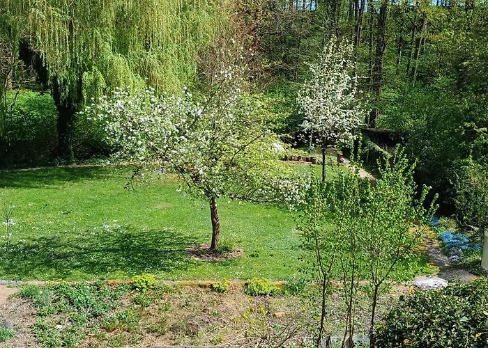 In Medlitz Rattelsdorf