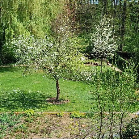 In Medlitz Rattelsdorf